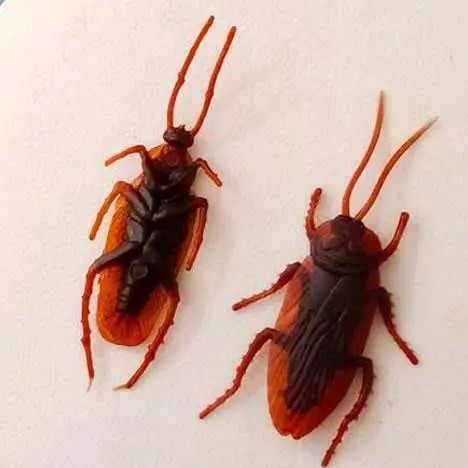 سوسک پلاستیکی مدل STFT104